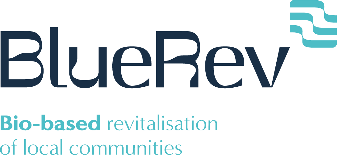 BlueRev logo